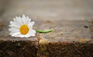 Câu chuyện về Đinh Kính Vũ